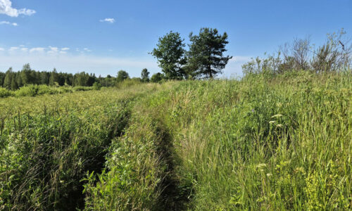 Teede hämarus on valgust täis