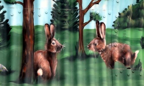 3. pühapäev pärast nelipüha