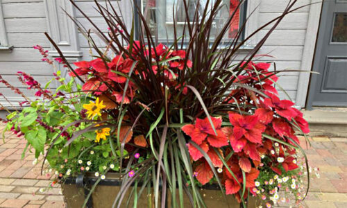 EELK Kirikumuusika Liit õnnitleb