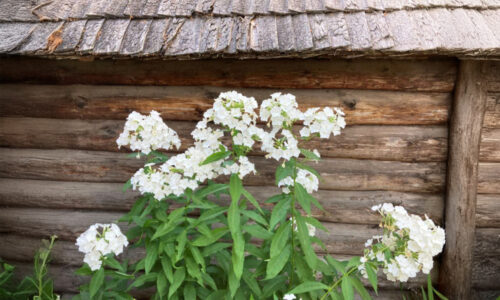 EELK Kirikumuusika Liit õnnitleb