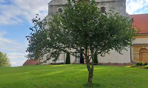 Kuidas on läinud inimese seltsi igatsevatel maarjakaskedel?
