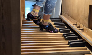 Kaunilt värviküllased orelikingad