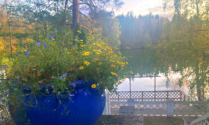 EELK Kirikumuusika Liit õnnitleb