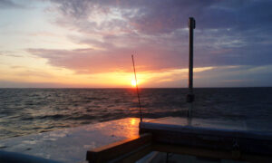 Advendiaja 3. pühapäev