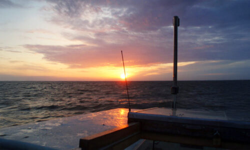 Advendiaja 3. pühapäev