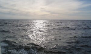 Jõuluaja 2. pühapäev