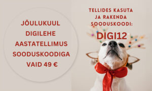 Jõulukuul on Eesti Kiriku digileht soodsam