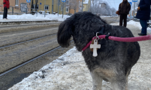 3. pühapäev pärast ilmumispüha