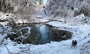 3. pühapäev enne paastuaega