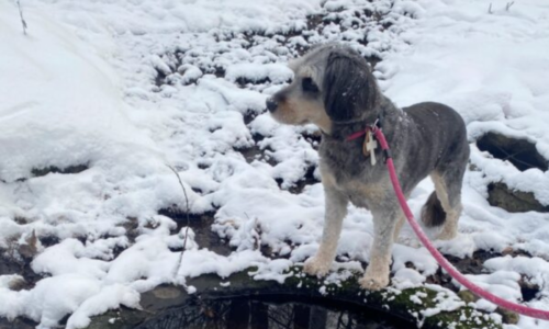 2. pühapäev pärast ilmumispüha