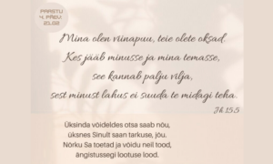 Misjonikeskuse paastukalender 2026