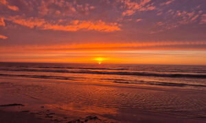 Galerii: Viru praostkonna sinod 2026