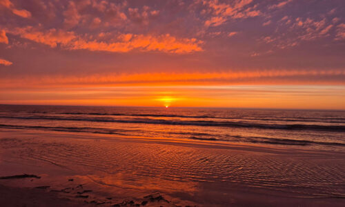 Galerii: Viru praostkonna sinod 2026